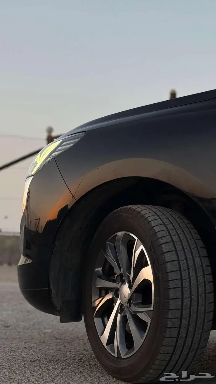 هافال جوليان 2024 4