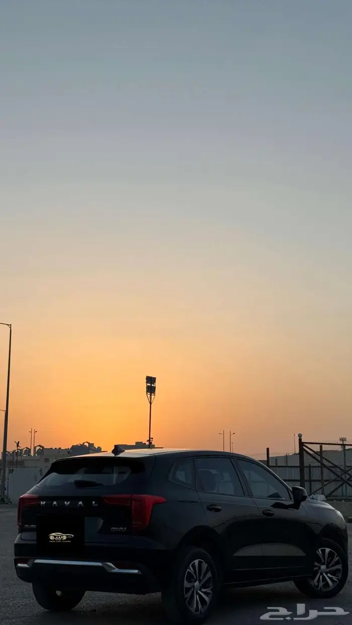 هافال جوليان 2024 11