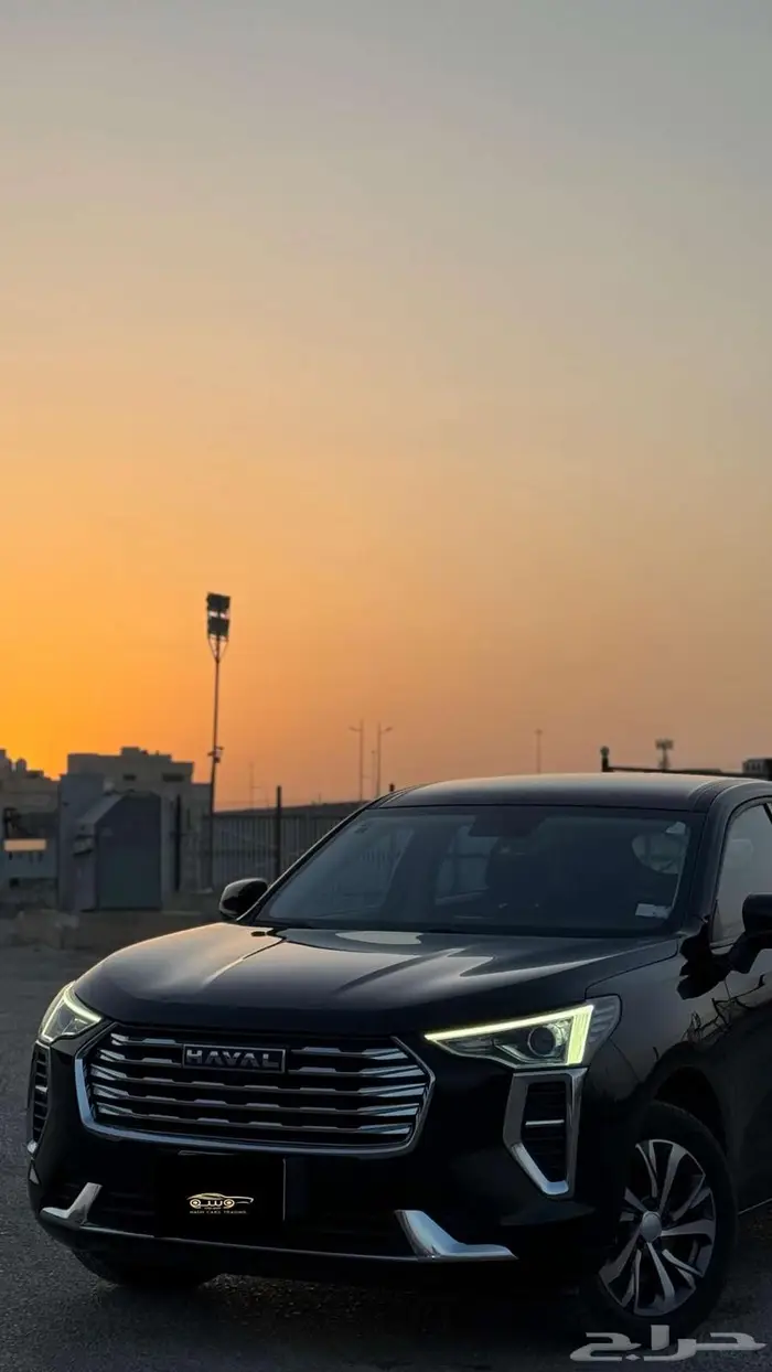 هافال جوليان 2024 0
