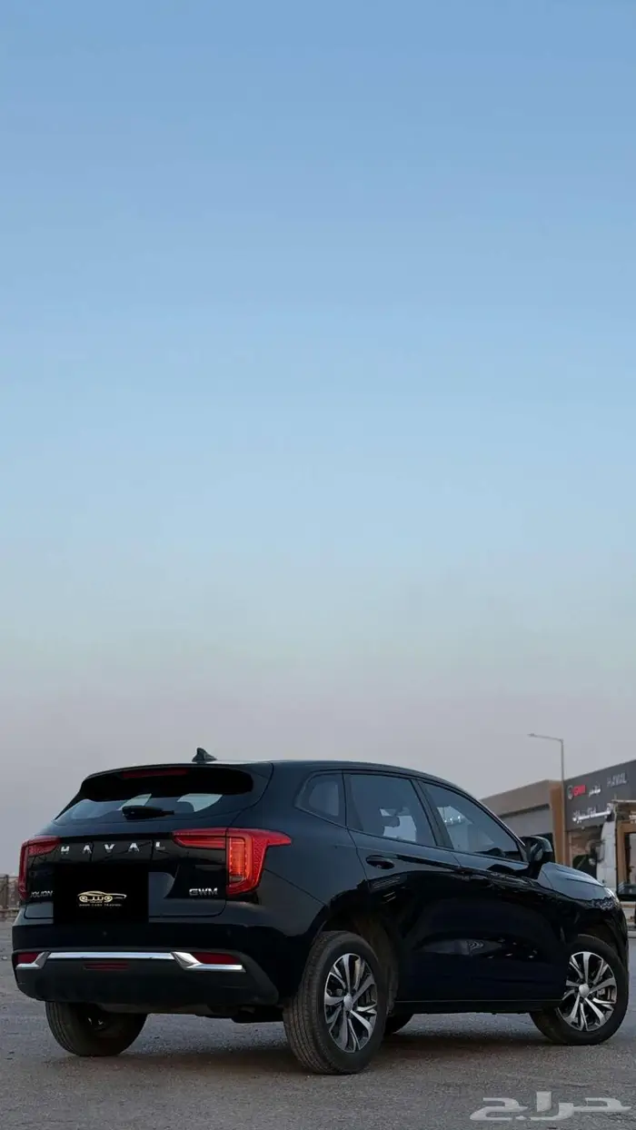 هافال جوليان 2024 14