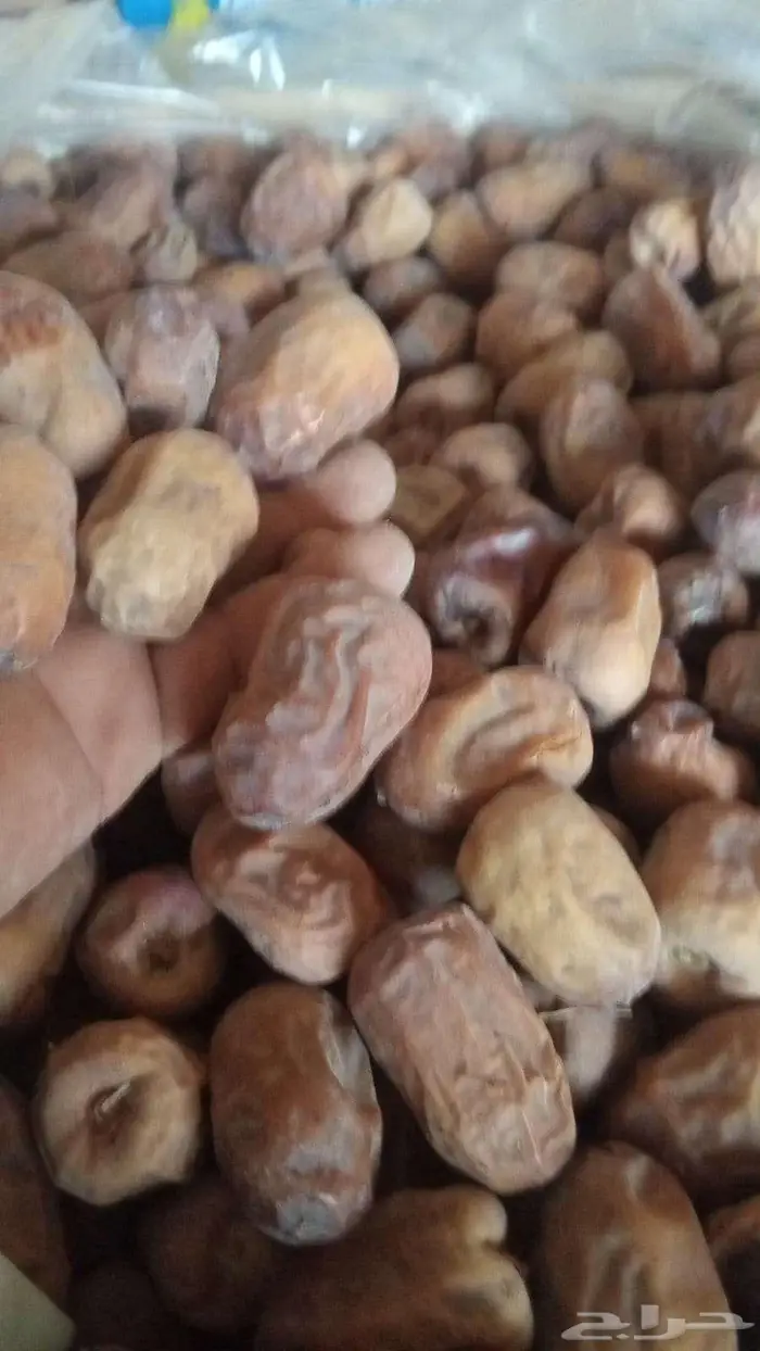 تمور سكري حمراء نبت سيف 0