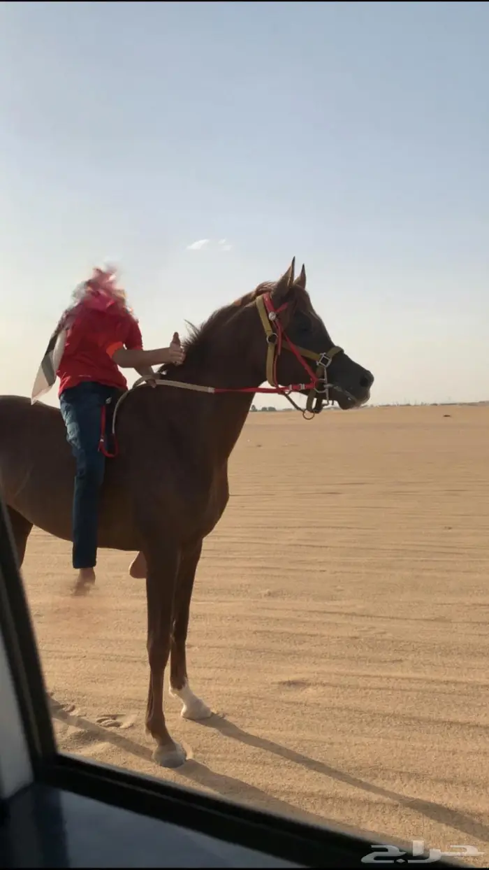 نجران 3
