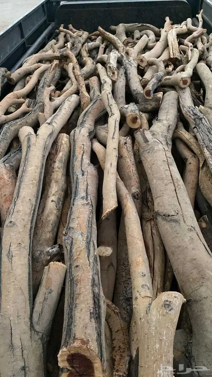 القصيم عنيزه المذنب البديع الرس 1