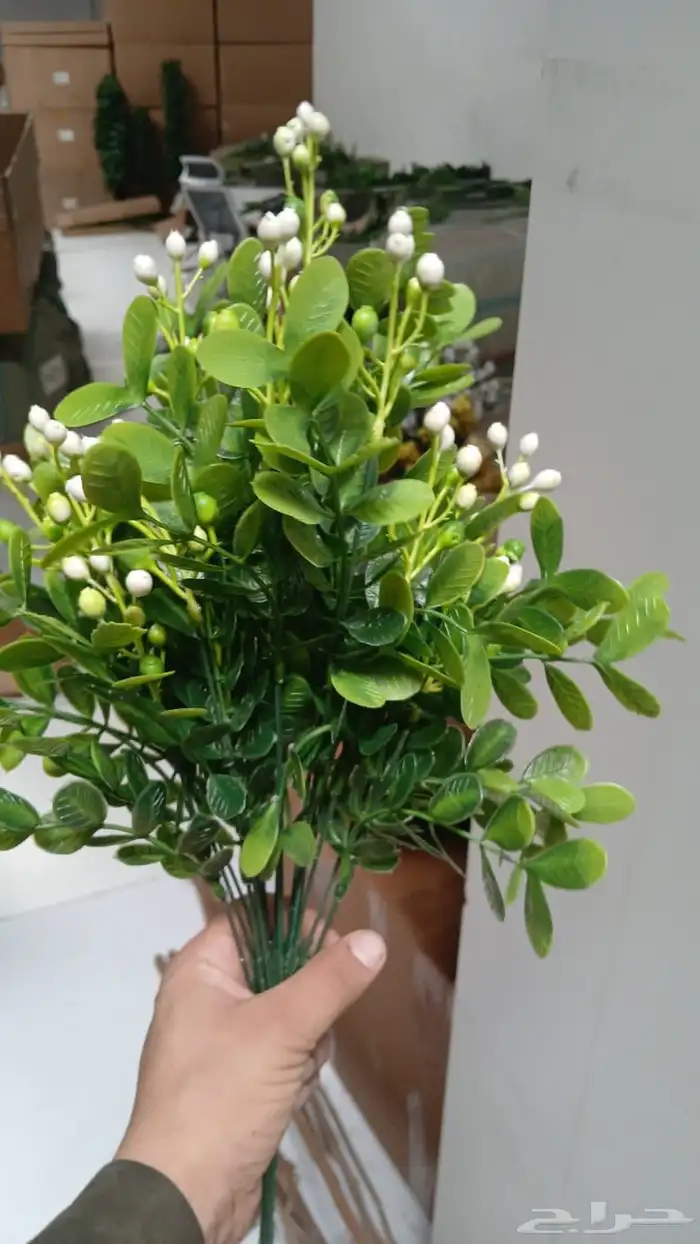 تنسيق حدائق 12