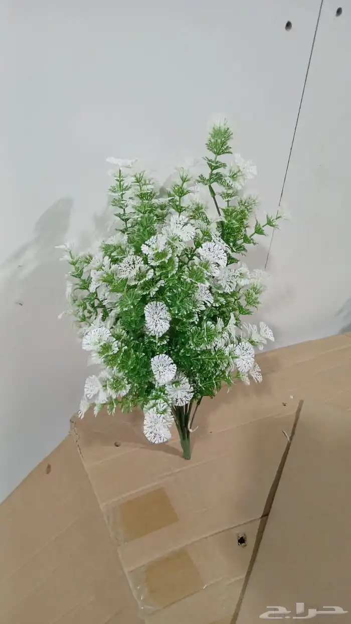تنسيق حدائق 17