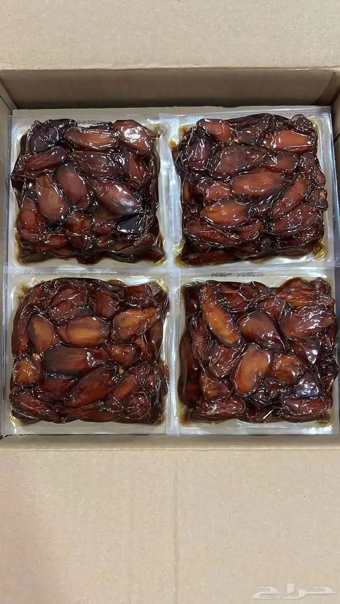 الخبر المنطقة الشرقية 3