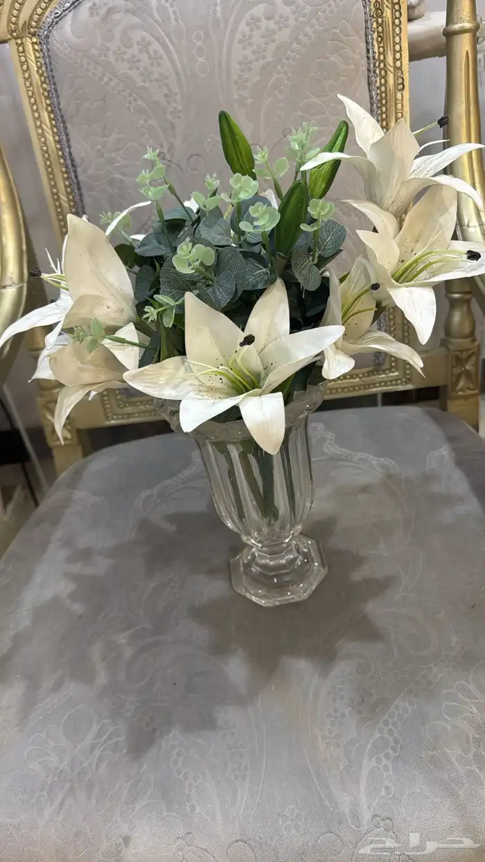 الافراح والمناسبات 9