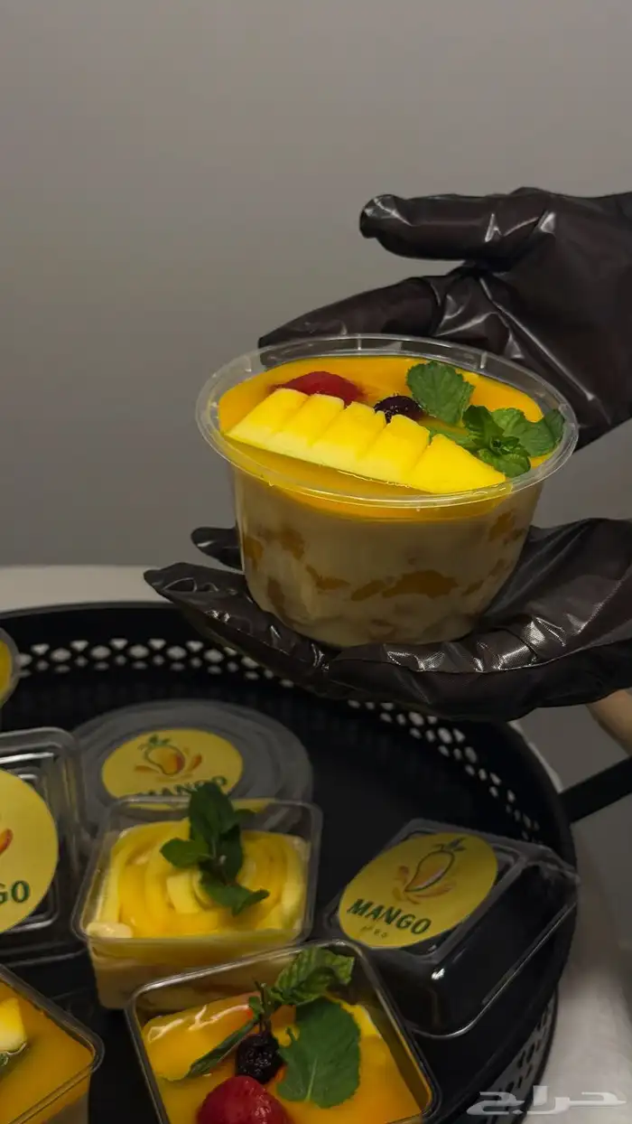 حلا ترافل مانقو الخبر الدمام 2