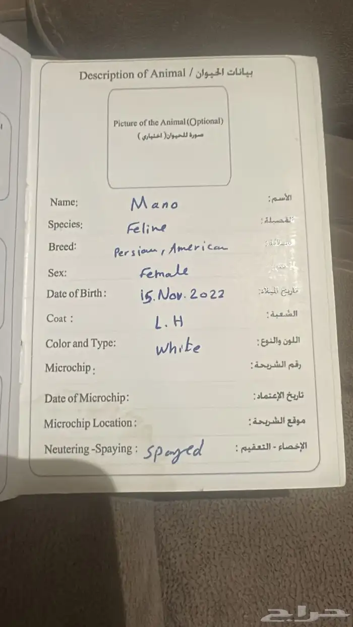تبني مجاني عاجل 0