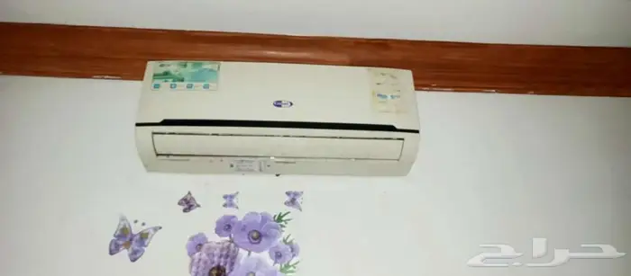 تاروت القطيف 0