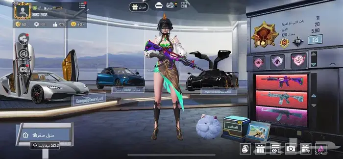 حساب ببجي قلتش عالمية 0