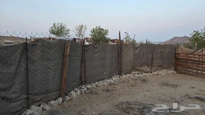 للبيع شبوك مراح متكاملة 5