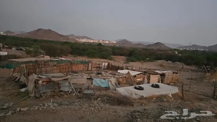 للبيع شبوك مراح متكاملة 11