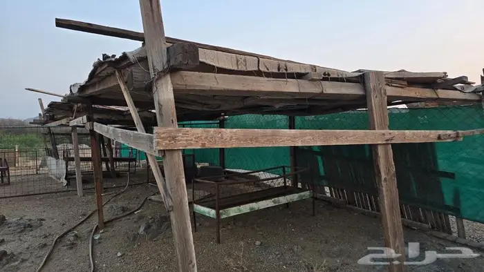 للبيع شبوك مراح متكاملة 6