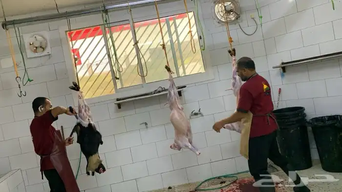 ذبايح مزرعة مرابي عسير للذبايح البلدي 46