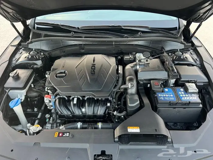 ازيرا وارد كوريا 2020 11