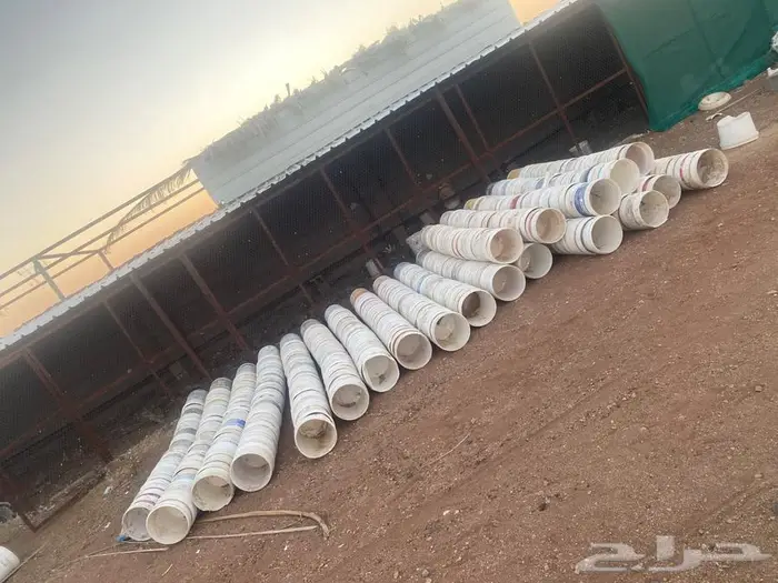 سطول حمام شبه جديده اكثر من 3000 حبه 0