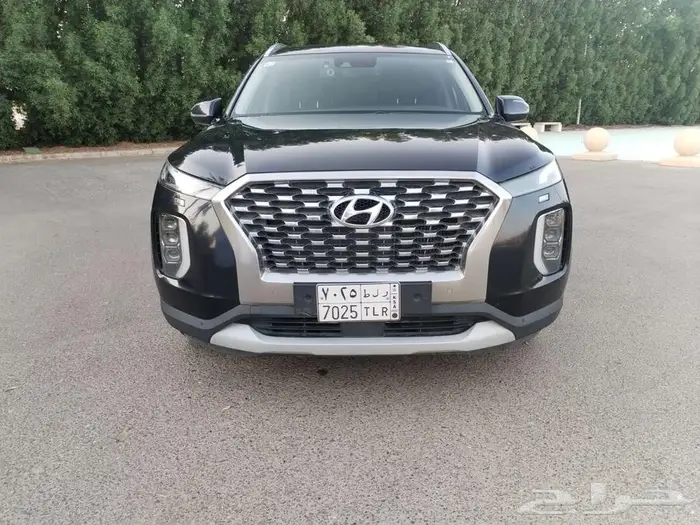 ديزل باليسيد 2019 فل الفل 41