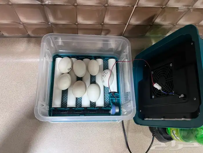 فقاسه وحاضه بيض  تقليب ألكتروني (تماتيكي) 1