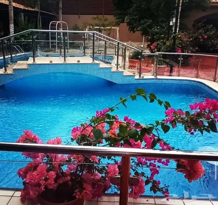 إنشاء وصيانة وترميم المسابح الخرسانية أسعار منافسة 28