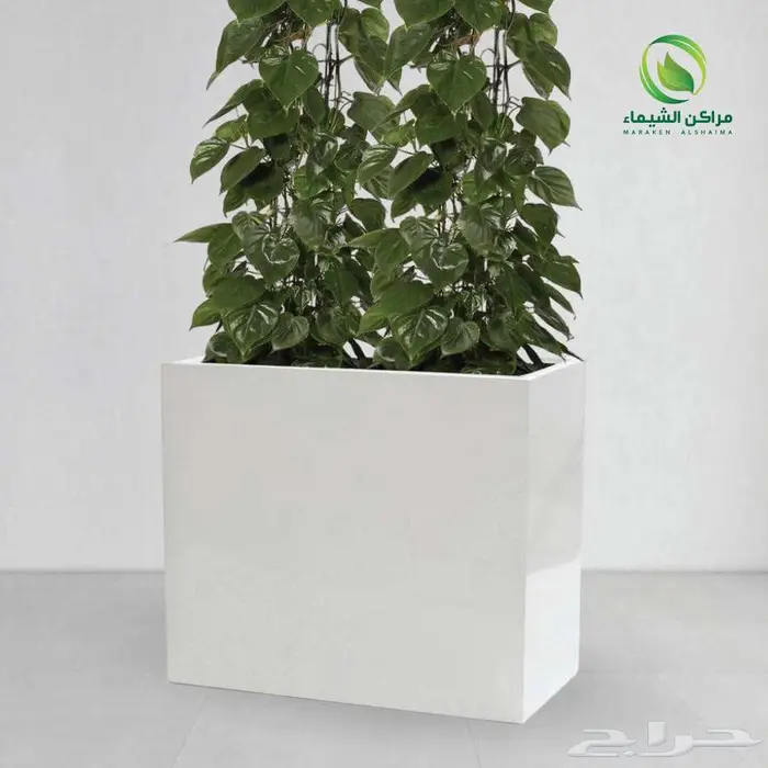 احواض جاهزة للحوش والسطح فيبر فخمة تفصيل جملة ومراكن 27