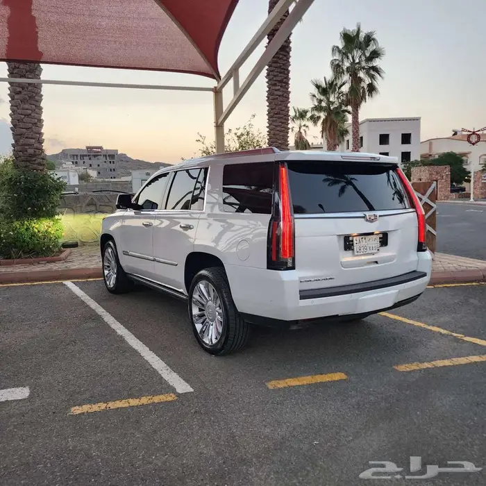 كاديلك اسكاليد 2020 بلاتينيوم اخو الوكاله 14