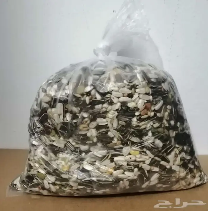 أكل طيور كبيره الحجم 1
