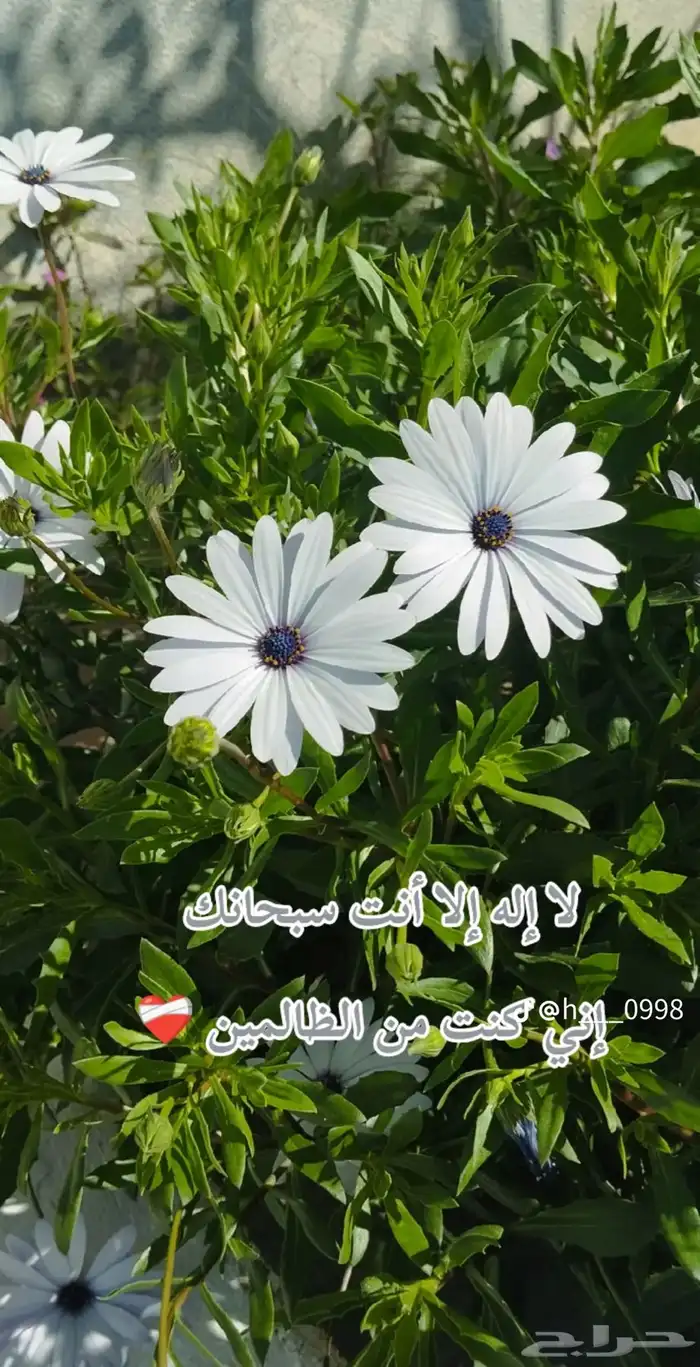 مطلوب غرفه بحمام 0