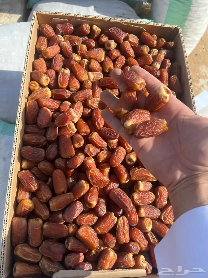 صقعي والسعر ممتاز 1