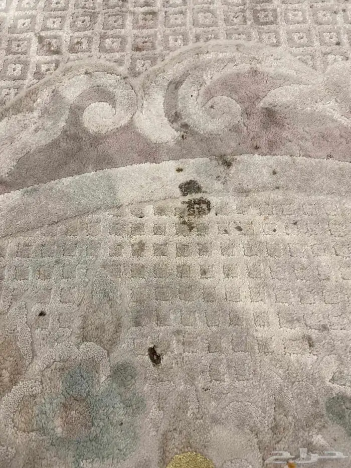 اثاث صالة للبيع بسعر مخفض وبيع سمح 3