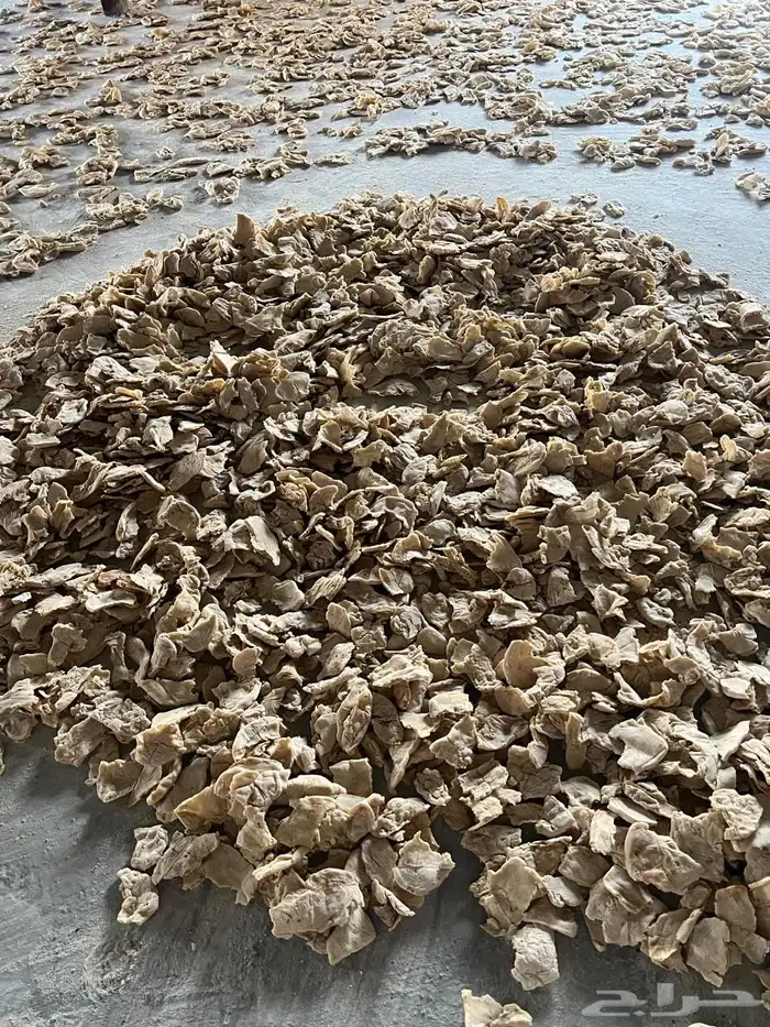 خبز ناشف مفرود بدون خلط الكيس يكفي 3سطول بويه 3