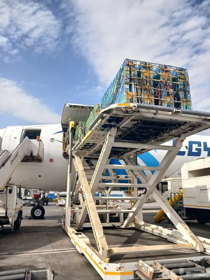 نحل مصري للبيع 5