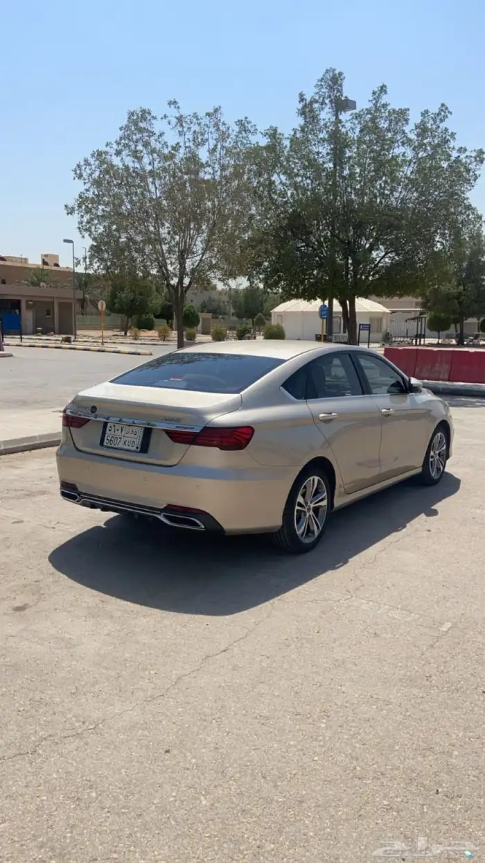 جيلي بينراي2020 5
