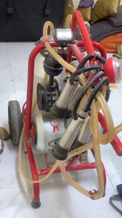 حلبة بقر index