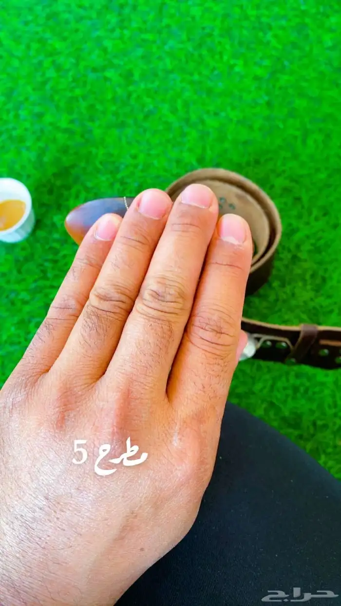 زراف لا البيع 3