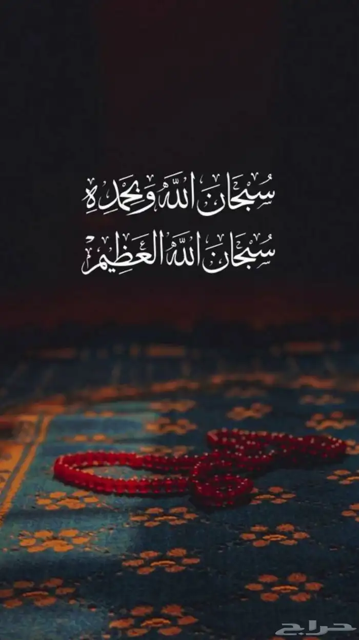 مطلوب عشاير مجاهيم 0