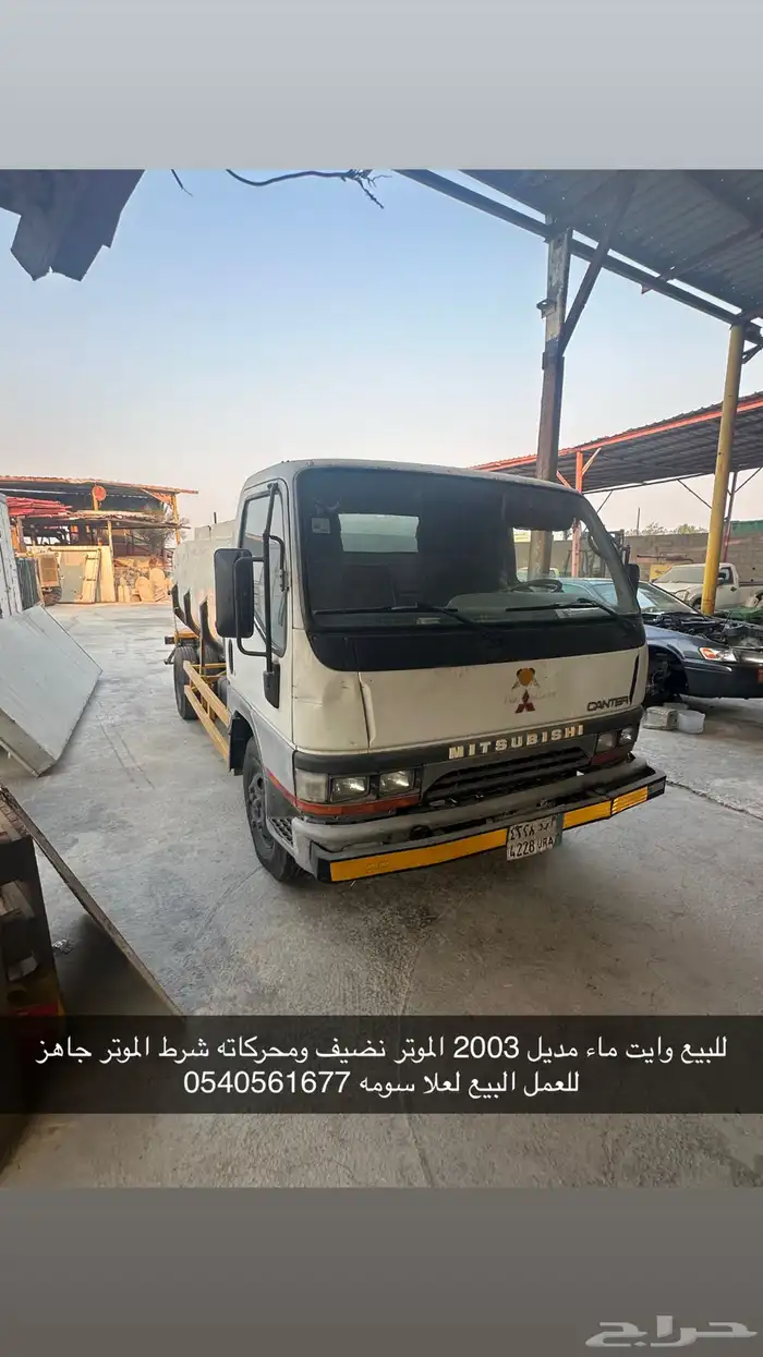 دينا كانتر 0