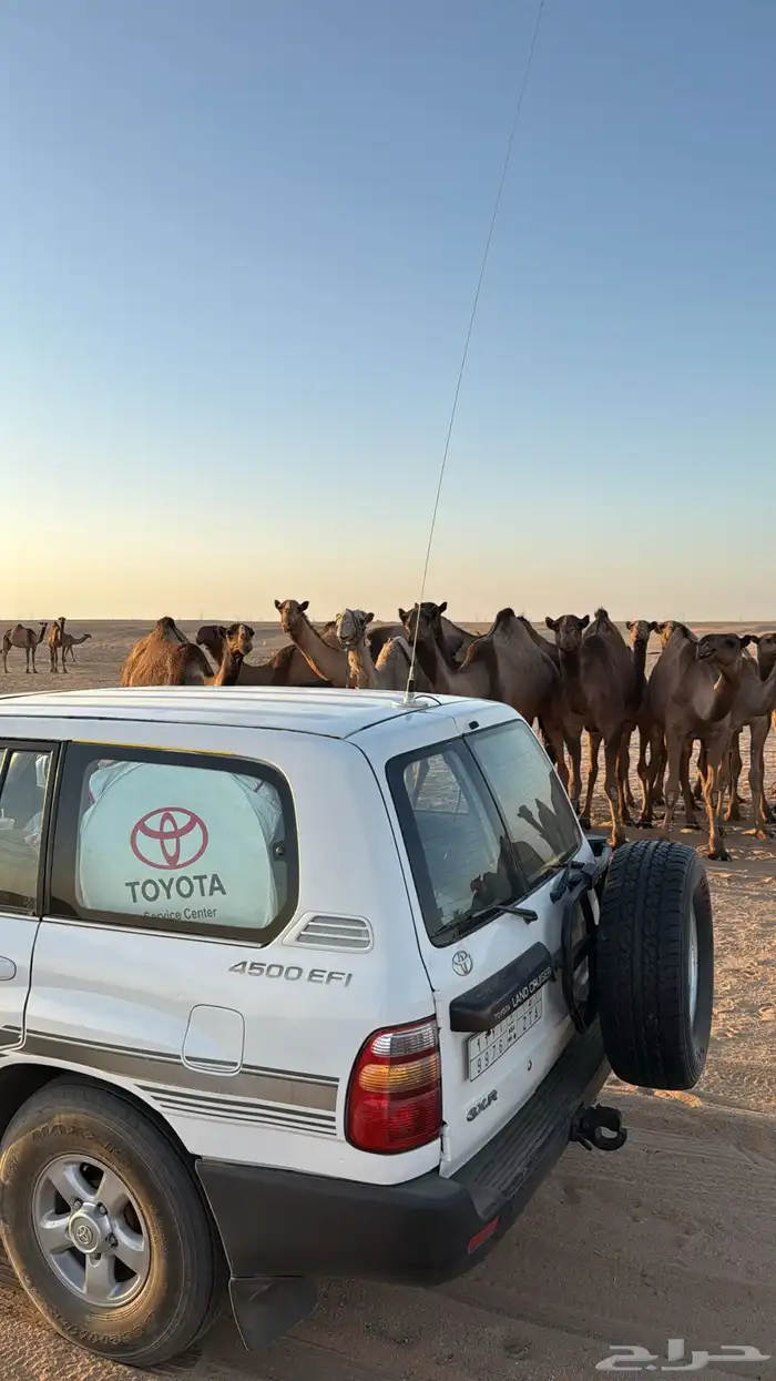 تيوتا  لاند كروزر للبيع 11
