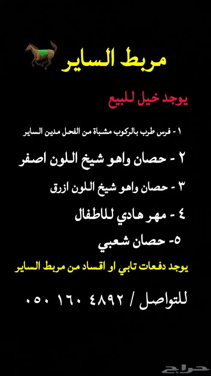 خيول للبيع اقساد او دفعات 0