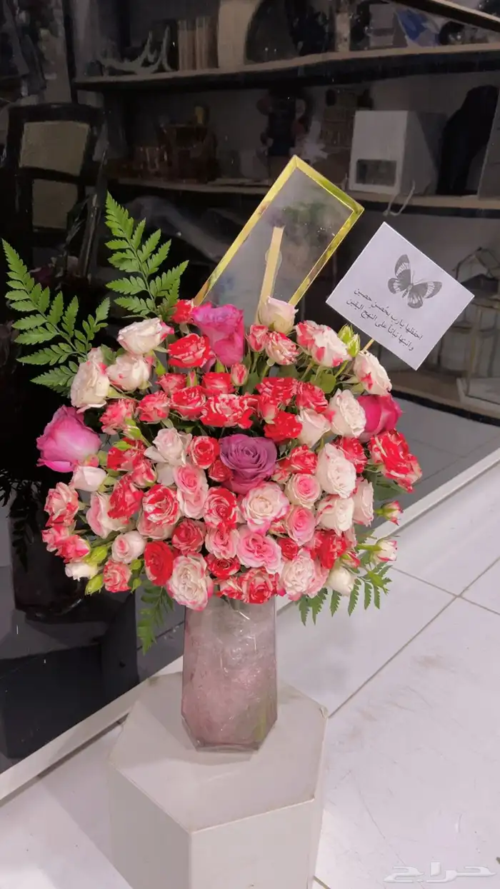 https   maps.app.goo.gl hpED9NPyrjjG7xEz7 g_st ic 6