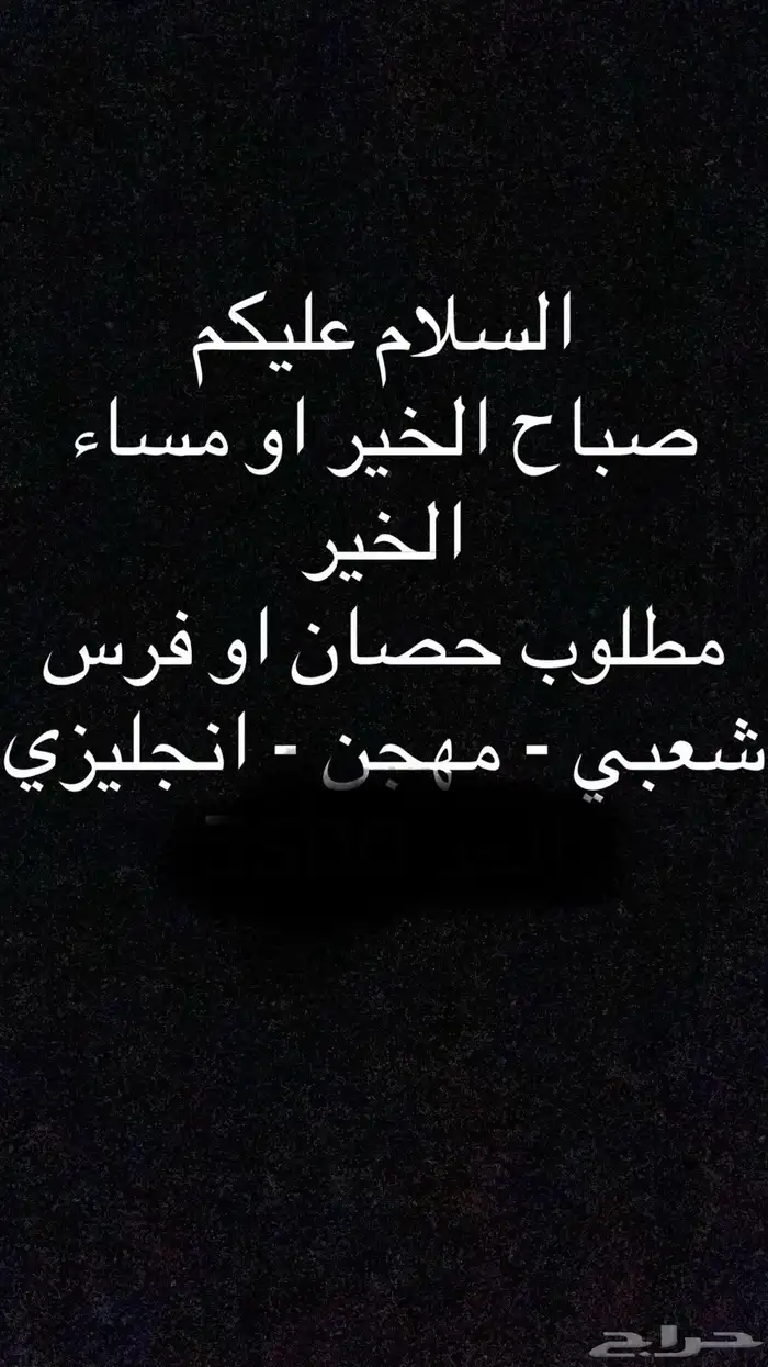 مطلوب خيل شعبي - انجليزي 0