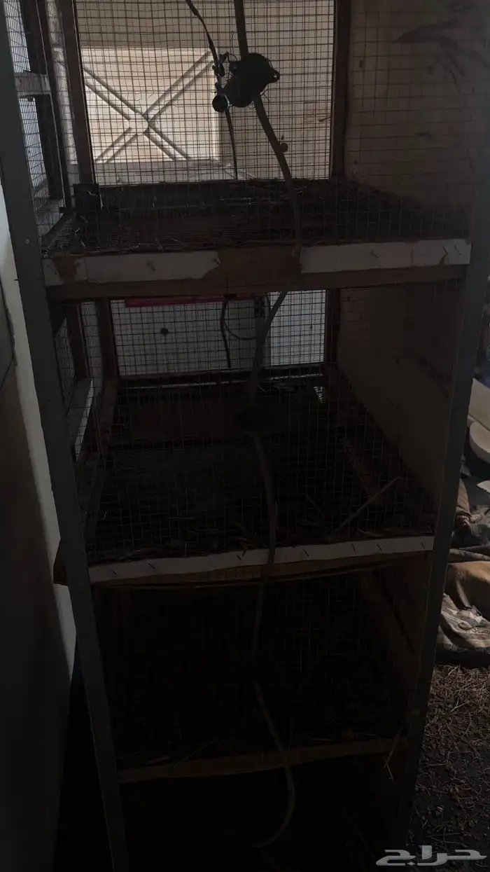 فقاسه المحمديه 1024 بيضه فول اتوماتيك ((انباعت)) 1