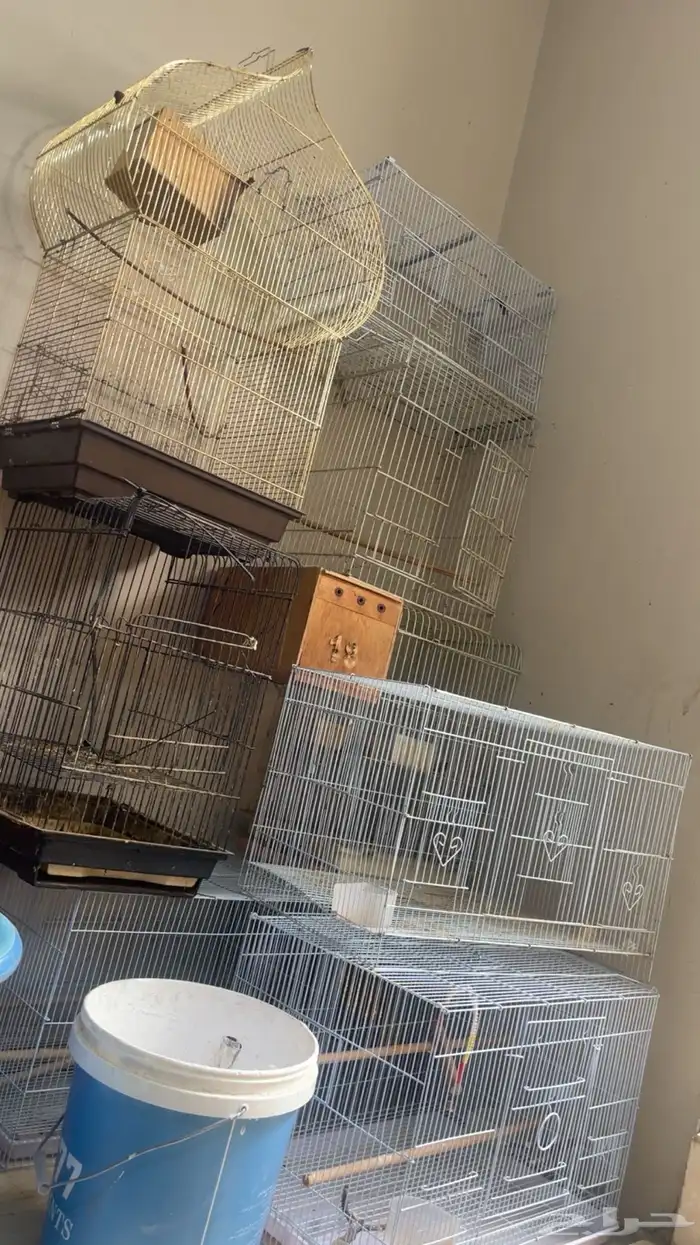 اقفاص طيور للبيع 3