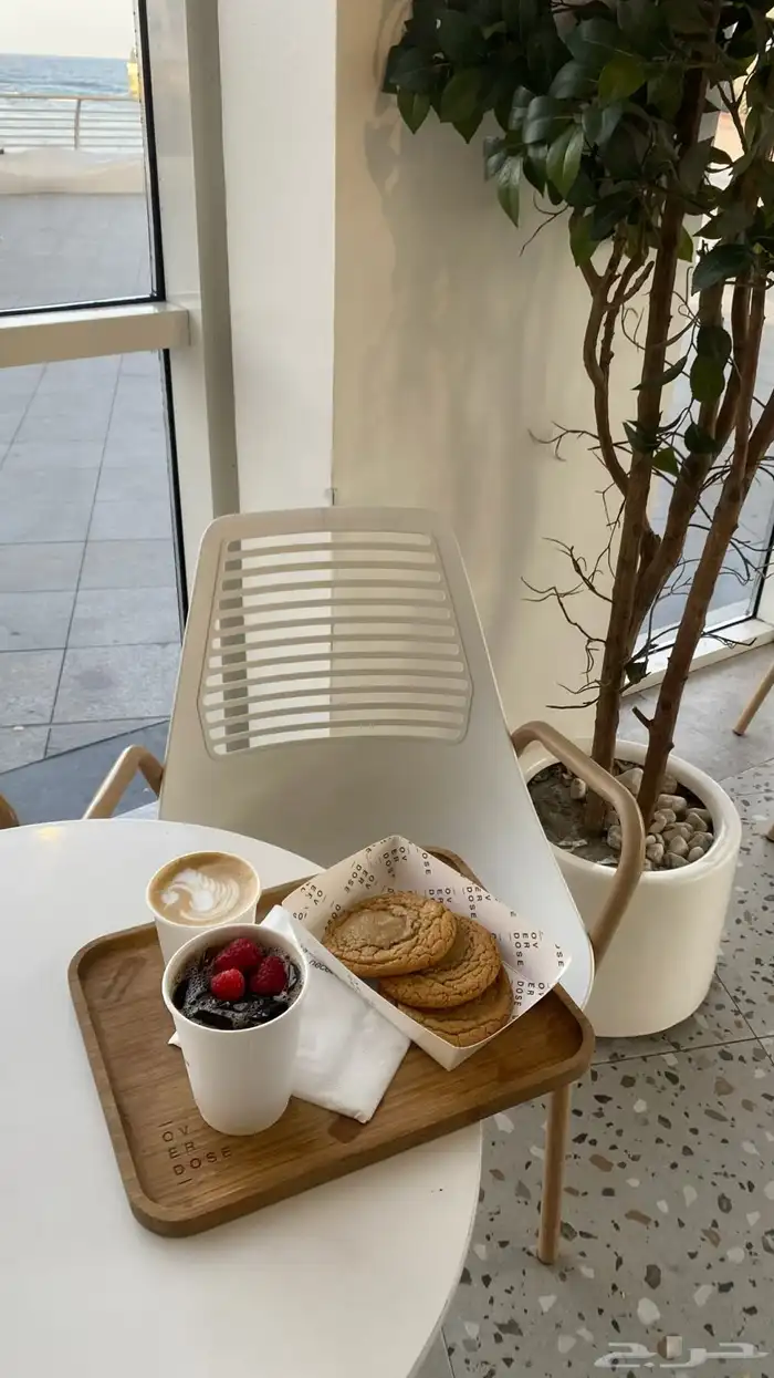 مصورة ومصممة 15