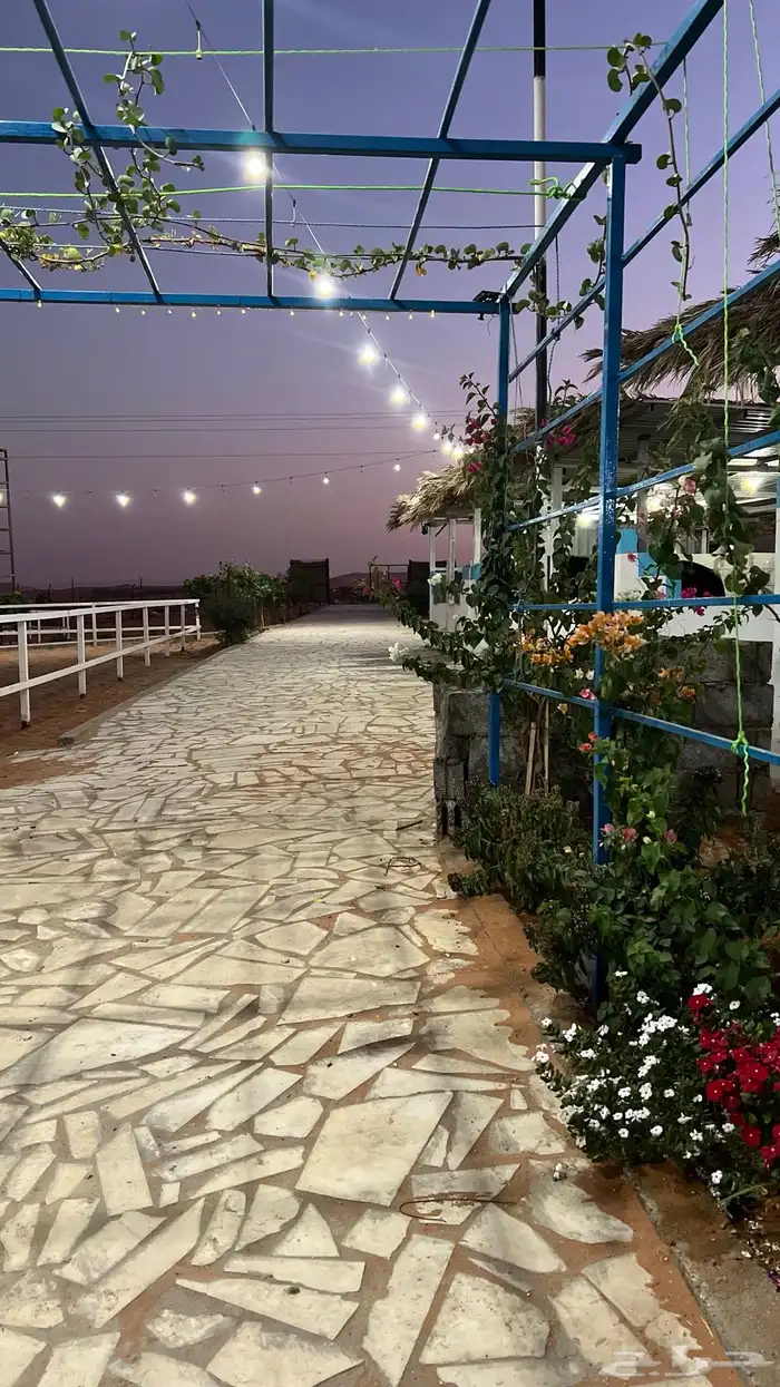 اسطبل خيل المزاحمية 0