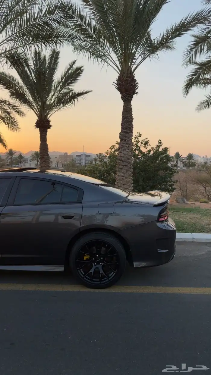 تشارجر 2019 GT وكاله 14
