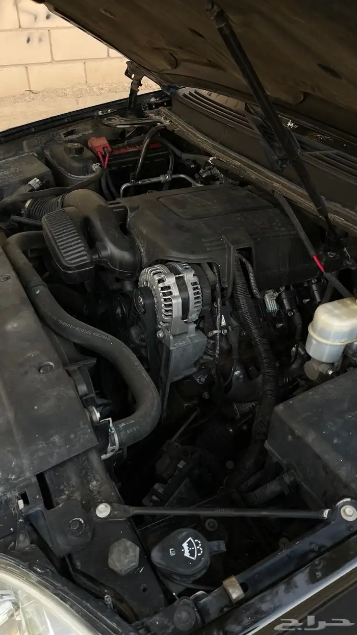 يوكن دبل قصير ( 2013 ) 5