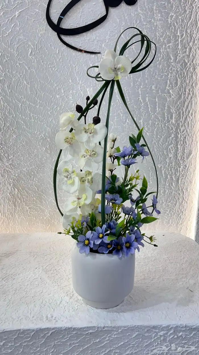 https   maps.app.goo.gl hpED9NPyrjjG7xEz7 g_st ic 61