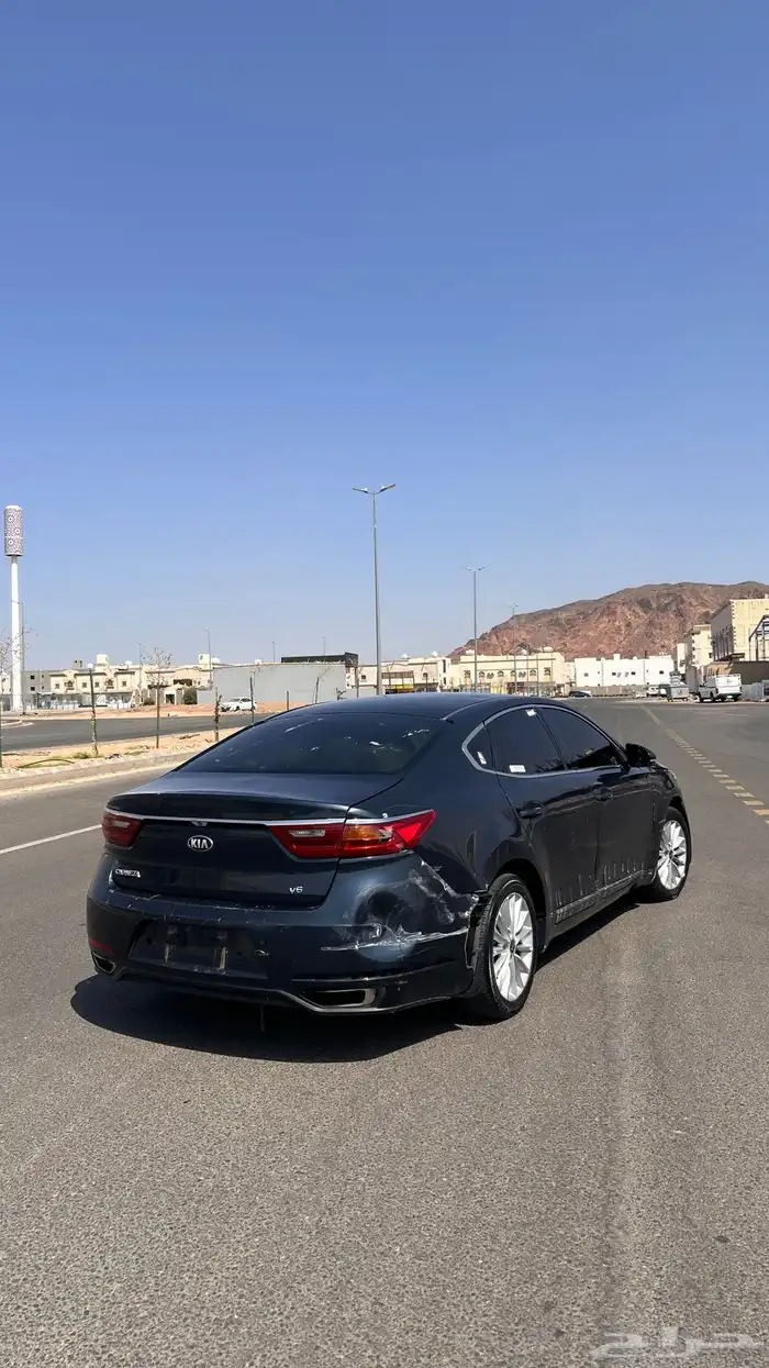 كادنزا 2018 1