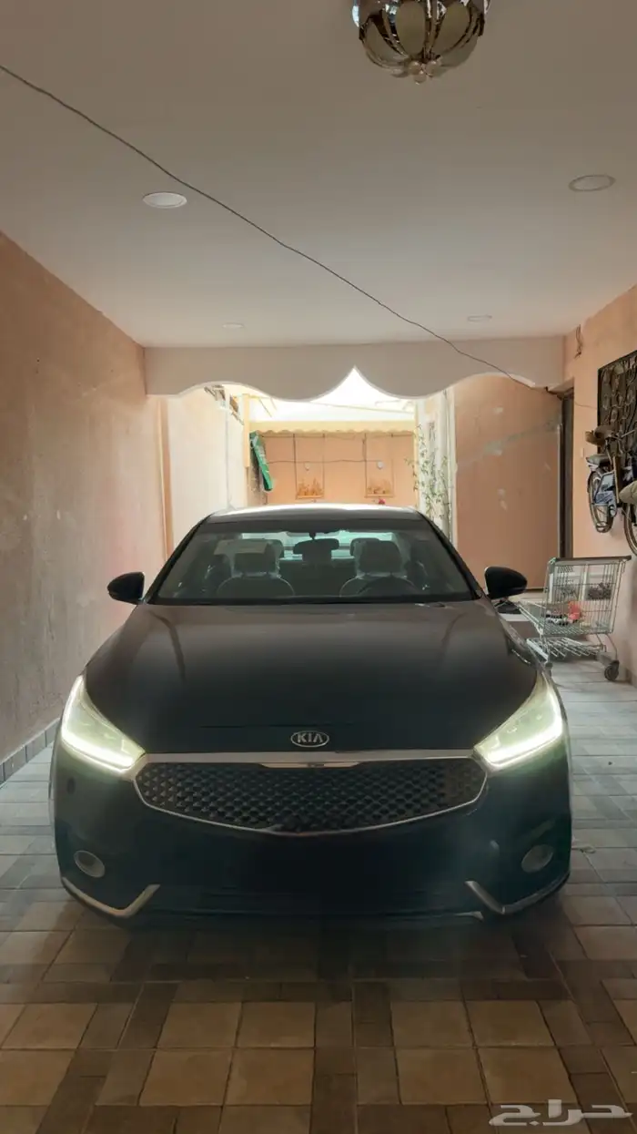 كادينزا 2018 2